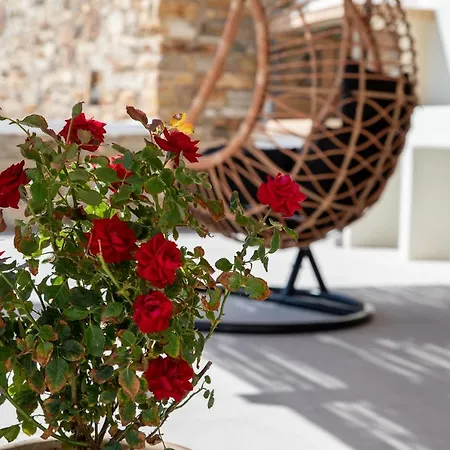 Naxos Skyline Luxury Angídia